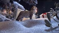 Chris Norman - Christmas Song - Videoclip.bg