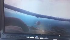 Риболовът не е това , което беше ! - Videoclip.bg