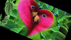 Africa Bambaataa feat Khayan Feel The vibe - Videoclip.bg