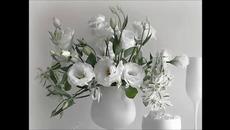 Музика на цветята - Videoclip.bg