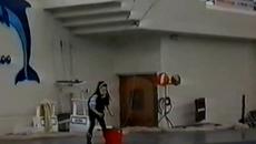 6 годишно дете играе с делфините /Switzerland/ - Videoclip.bg