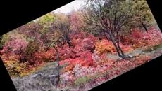 D - Emotion project feat Стефка Саботинова Притури се планината - Videoclip.bg