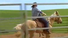 Дъщерите на Маклауд ( McLeod's Daughters - More Than One Way ) S01 E18 - Videoclip.bg