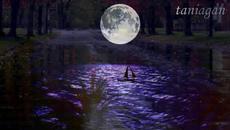 ОБИЧАЙ МЕ - Борис Гуджунов - Videoclip.bg