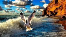 Долгая дорога в дюнах - Videoclip.bg