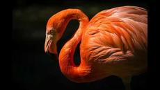 песни за деца | дъга | любими детски песни - Videoclip.bg