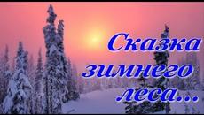 "Сказка зимнего леса..." - Videoclip.bg