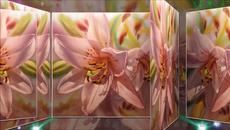 Мike Oldfield - Ascension - Videoclip.bg