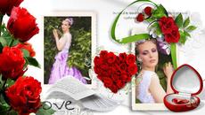 Rada Manojlovic - Ruzo (  превод ) - Videoclip.bg