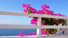 Космосът - нашият свят - Videoclip.bg