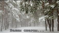 Алиса Игнатьева   -    БЕЛЫМ СНЕГОМ.../Потрясающее исполнение!/ - Videoclip.bg