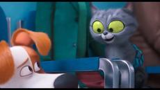 Сами в къщи 2/2019 Трейлър - Videoclip.bg