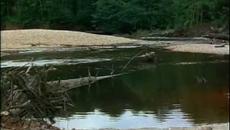 True Heart / Честно Сърце 1997 ЧАСТ 3 - Videoclip.bg