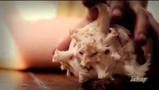 Sophie Zelmani - Memory Loves You. - Videoclip.bg