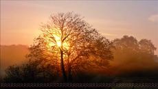 Mike Oldfield - Closer & Pres de toi - Videoclip.bg