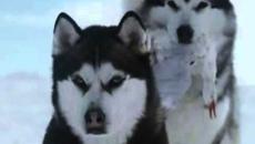 Enigma-Era-Gregorian - Moment Of Peace - Videoclip.bg