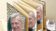 Miroslav Ilic -Gde si sada - Videoclip.bg