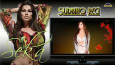 SEKA ALEKSIC - SUDBINO RECI (2012) - Videoclip.bg
