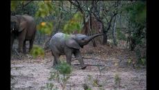 песни за деца | Пролет иде | любими детски песни - Videoclip.bg