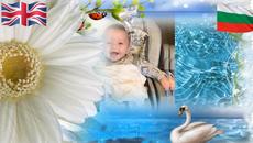 Направихме вече шест месеца... сладурче. - Videoclip.bg