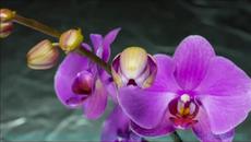 Responsible for You ✴ Piano - Videoclip.bg