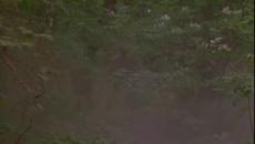 The.Ultimate.Weapon.1998 / СЪДБОНОСЕН РЕВАНШ ЧАСТ 1 - Videoclip.bg