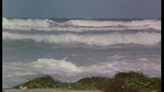 McCinseys.Island 1998 / ОСТРОВЪТ НА МАКИНЗИ ЧАСТ 1 - Videoclip.bg