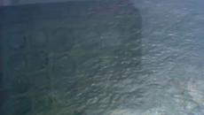 Shotgun. 1989  / Двуцевка ЧАСТ 1 - Videoclip.bg