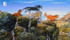 The Silver Brumby ep30 /  СРЕБРИСТИЯТ ЖРЕБЕЦ - Videoclip.bg