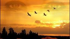 В.ТРЕТЬЯКОВА  -  КЛИН(РОМАНС) - Videoclip.bg