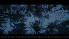 Prodigy The Trick - Videoclip.bg