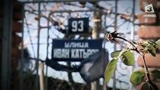 "Капитал и смърт" - един филм за арсен, смърт и пари - Videoclip.bg