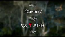 Soledad / Самота / Westlife / Превод / - Videoclip.bg