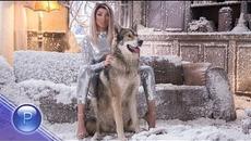 Емануела - Скъпото се плаща ( Official Video ), 2019 - Videoclip.bg