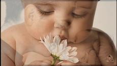 Asim Bajric - Sanjao sam jedno dijete / bg sub / - Videoclip.bg