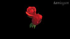 НИЕ СМЕ ВЛЮБЕНИ - Евгени Душанов - Videoclip.bg