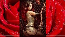 Ac / Dc Whole Lotta Rosie ( Bon Scott version ) - Videoclip.bg