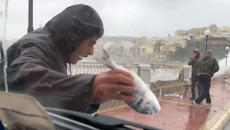Вижте как вали дъжд от риби над остров Малта / Malta 02-26-2019 - Videoclip.bg