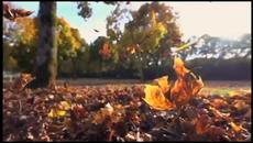 Повикай ме ...  тихо по Име - Videoclip.bg