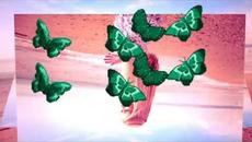 4,5,6   или повече   Естествената Красота на Живота - Videoclip.bg