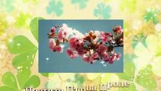 Честита Първа Пролет Spring 2019 (Northern Hemisphere) - Videoclip.bg