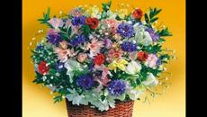 Честита Първа Пролет! Пролетно Равноденствие 2019 с Google ! - Videoclip.bg