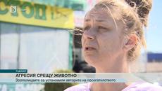 Агресия Срещу Котка в Радомир - Videoclip.bg