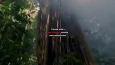 Suzana Mih- Earth song(cover) - Videoclip.bg