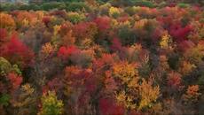 Vanessa Mae ✴ Тhe Original four seasons ✴ Autumn Ii Adagio - Videoclip.bg