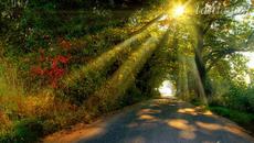 НАЙ-КРАСИВИТЕ ОЧИ - Кичка Бодурова - Videoclip.bg