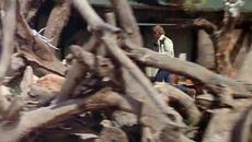 The Stone Killer / Каменният Убиец  1973 ЧАСТ 4 - Videoclip.bg