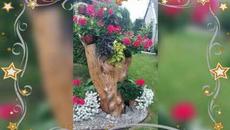 Вати & Звездно дуо $ Кючек Стай ,стай. - Videoclip.bg