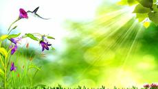 ✿.｡ Пролетта е красива  •·º♫· - Videoclip.bg