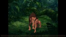 Любка Рондова Досю Берковски Тарзан - Videoclip.bg